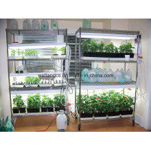 Chrome Adjustable Heavy Duty Greenhouse Storage Wire Rack